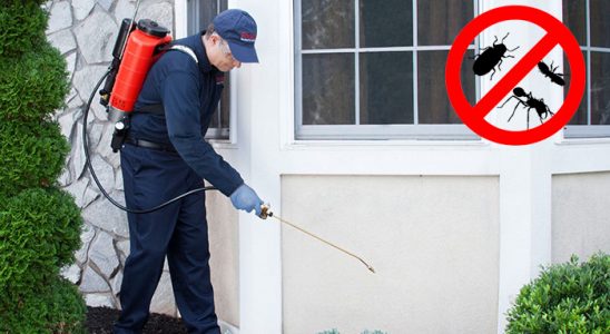 Uzunköprü Kene İlaçlama böcek ilaçlama ve haşere kontrolü — ilaclama-tr.com